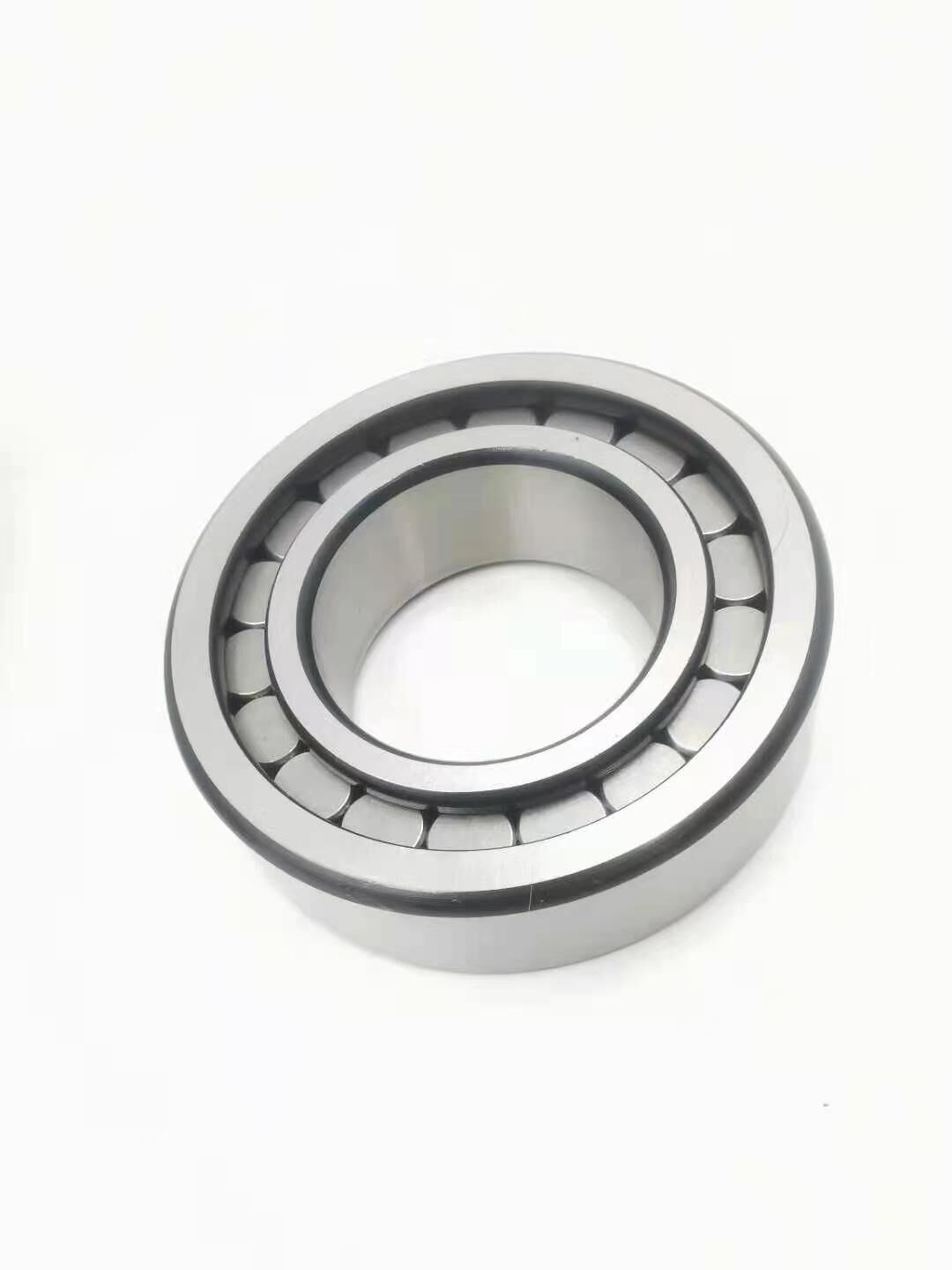 INA SL bearings