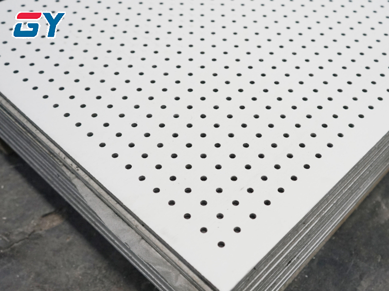 Stainless Steel Perforated Sheet/Plate