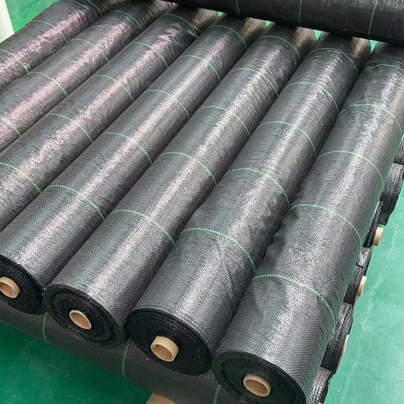 Grass Proof Film Polypropylene Grass Resistant Fabric Horticultural Grass Prevention Net