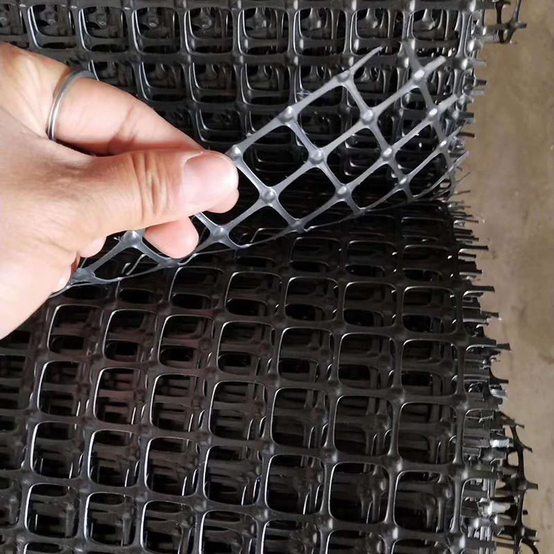 Extrusion plastic net grass protector grid geonet for dam slope protection