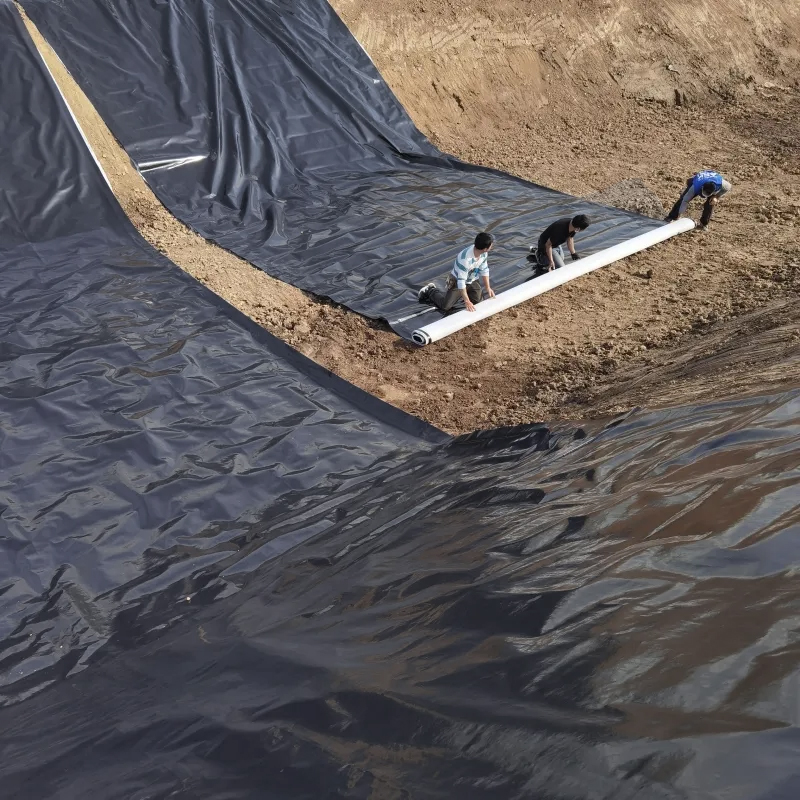 ECB/HDPE/LLDPE plastic geomembrane lined with anti-seepage geomembrane