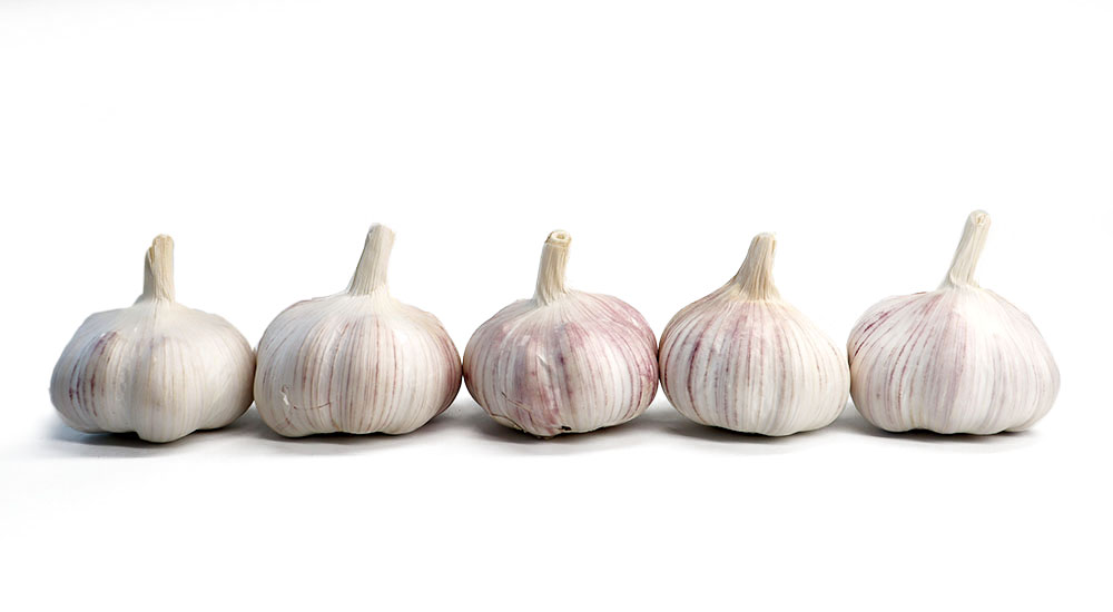 Bulbos de alho fresco