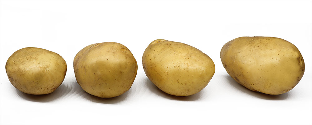 Batata Fresca Batata Fresca