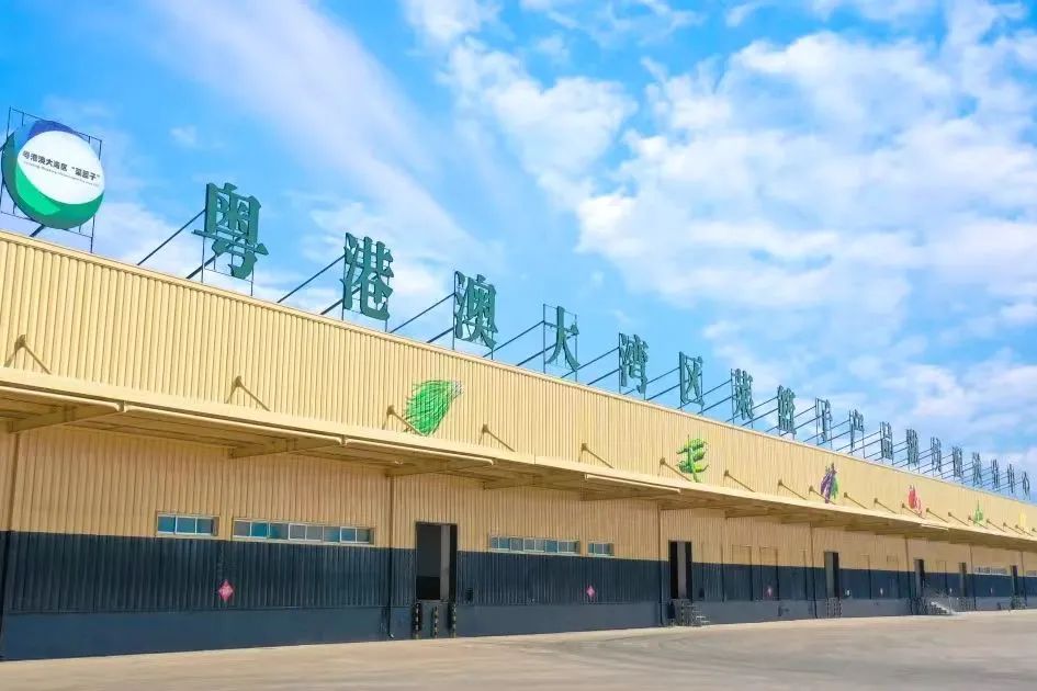Boas notícias! Lista de reconhecimento da base de produção (11º lote) da Grande Baía de Guangdong-Hong Kong-Macau "Cesta de vegetais" anunciada, base de produção agrícola da Wohua Technology na lista!
