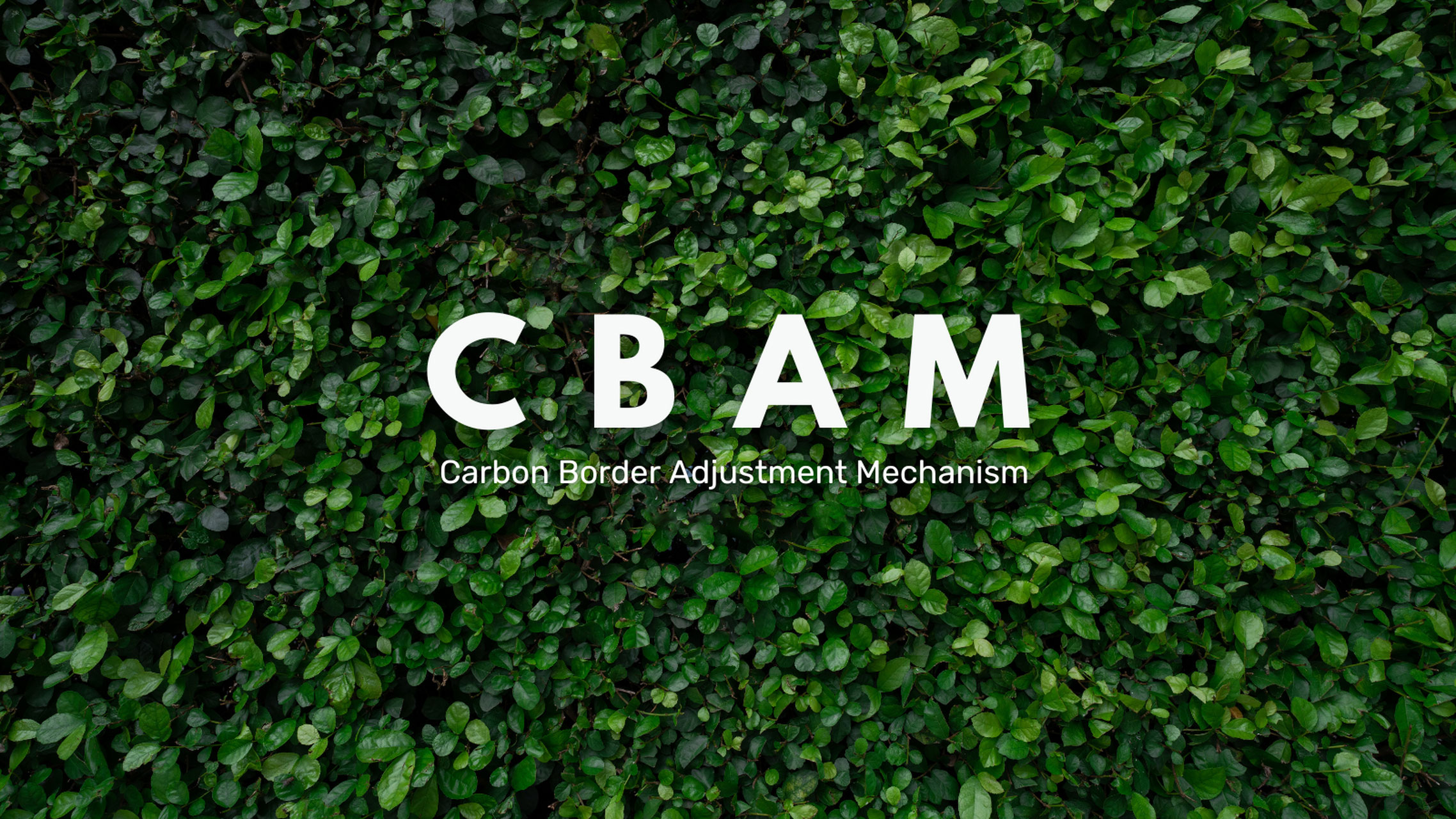 The European Commission has launched additional consultations on CBAM The European Commission has launched additional consultations on CBAM