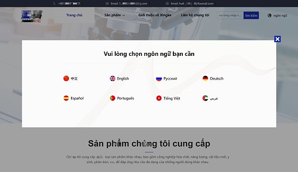 东南亚多语言独立站.png