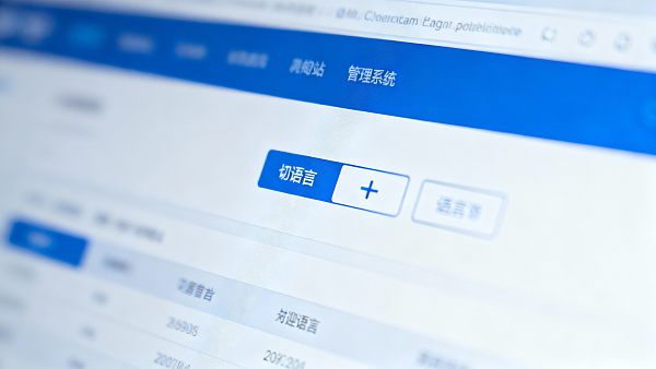 多语言网站云浮服务商：助力企业国际化的专业数字化解决方案