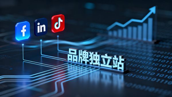 海外社交媒体营销:哪些平台最适合你的品牌? 海外社交媒体营销:哪些平台最适合你的品牌?
