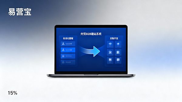 外贸B2B建站价格对比：选套餐还是定制开发更划算？