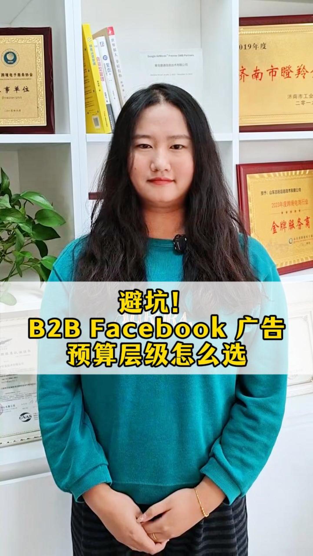 避坑！B2B Facebook 广告预算层级怎么选