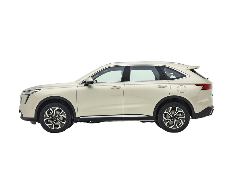 Haval Owl Dragon MAX