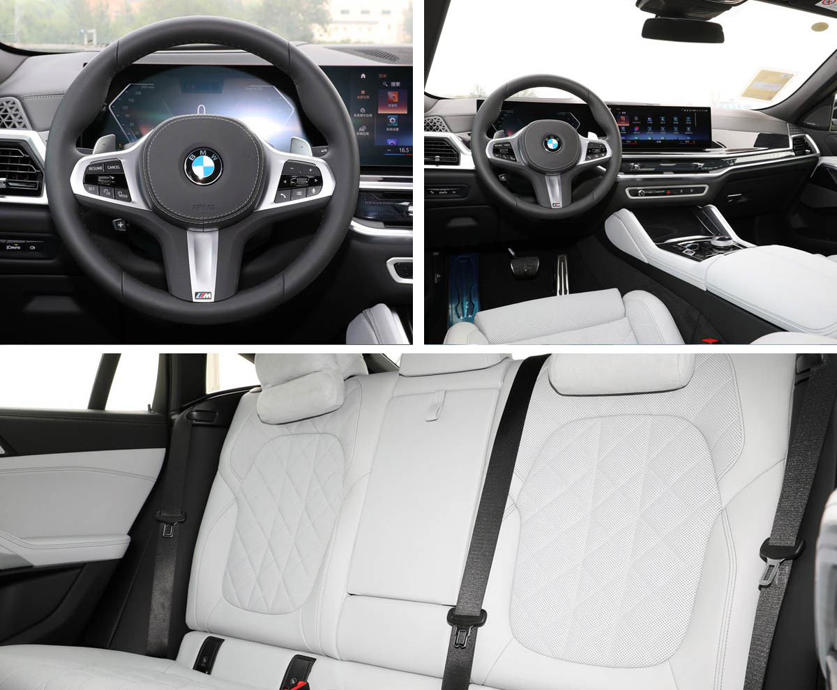 4.jpg BMW X6