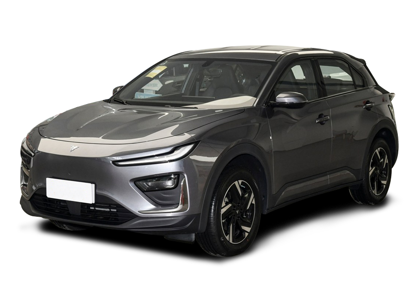NETA X 2023 500 Lite NETA X 2023 500 Lite