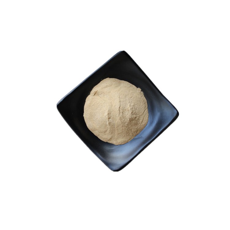 yeast
