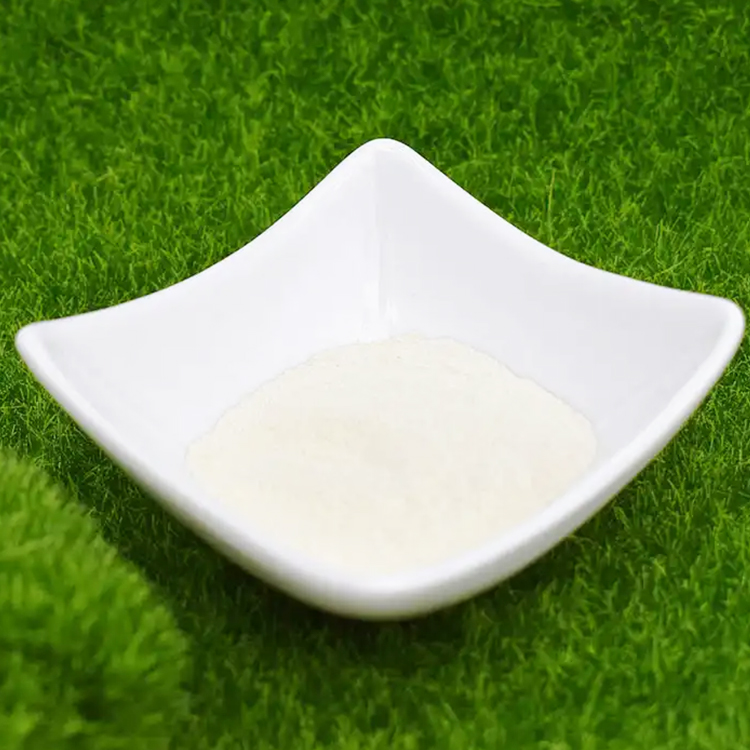 Glucono Delta Lactone CAS 9000-70-8