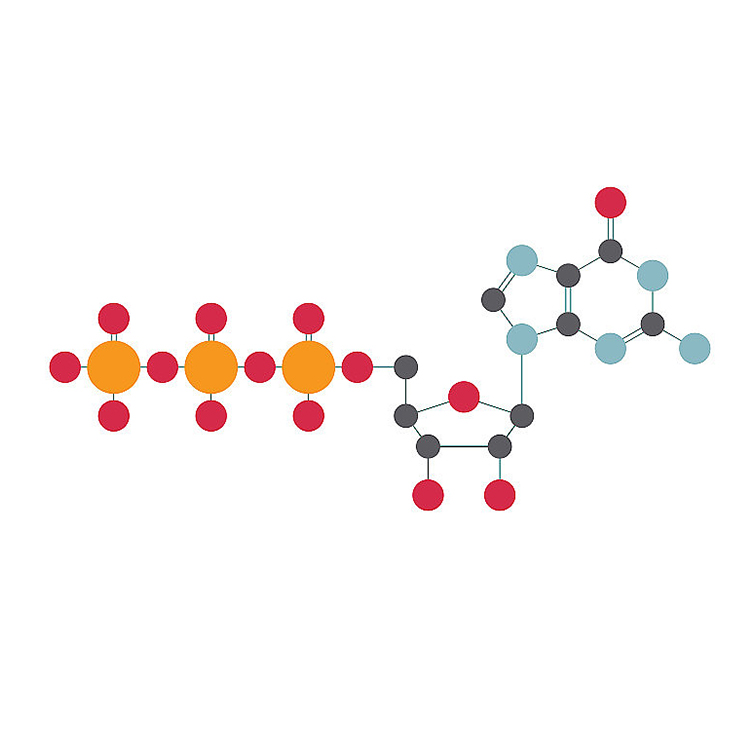 What is the difference between thermoplastic elastomer and thermoplastic polyurethane?