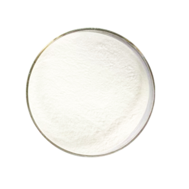 Natamycin CAS 7681-93-8