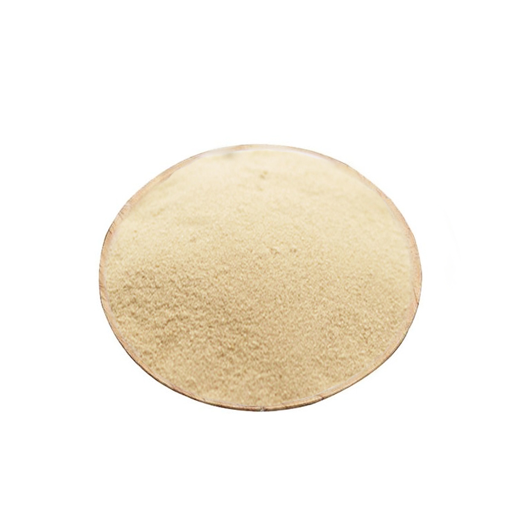 Arabic Gum CAS 9000-01-5