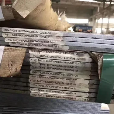 ASTM S32101 duplex stainless steel