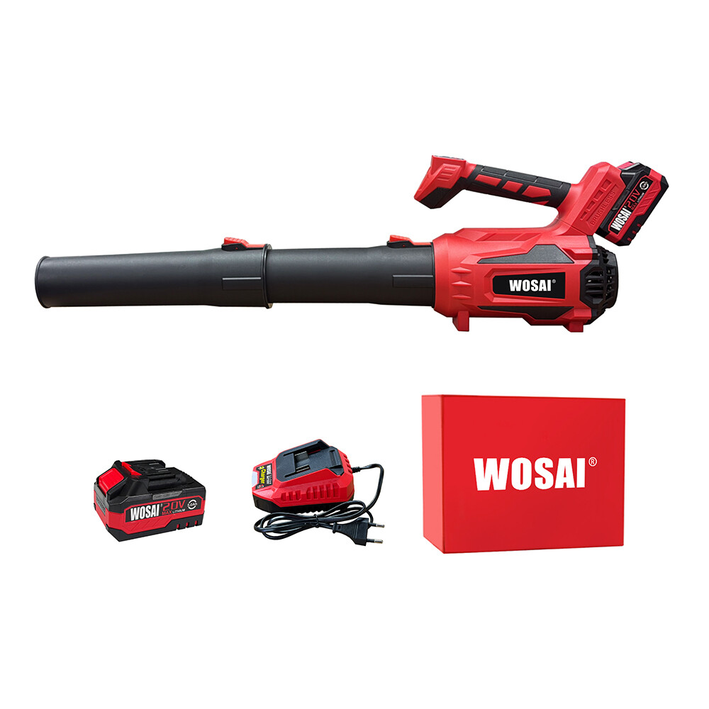 21V Cordless Brushless Blower