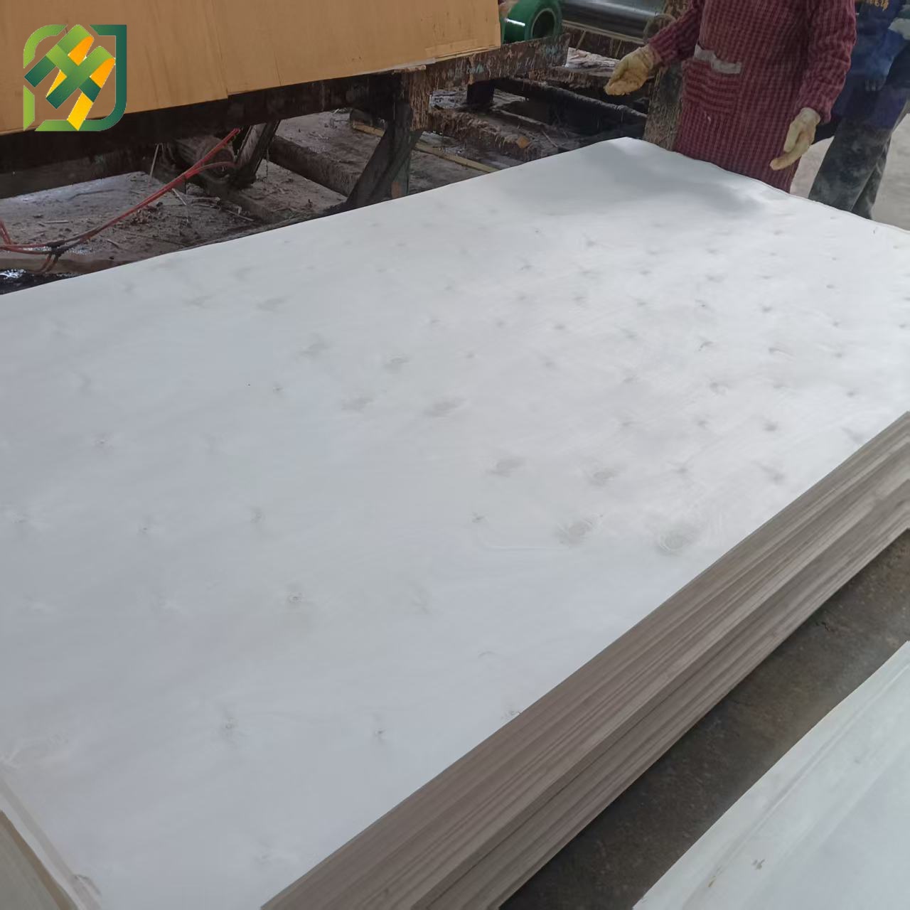 Commercial Plywood / Okoume Faced Plywood for Furniture