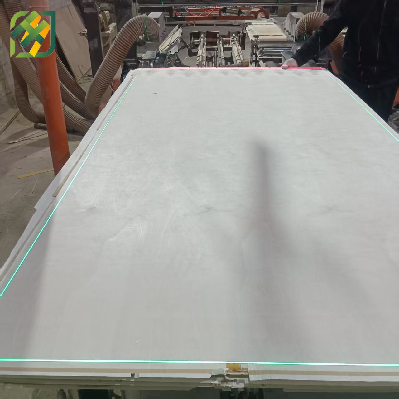 Commercial Plywood / Okoume Faced Plywood for Furniture