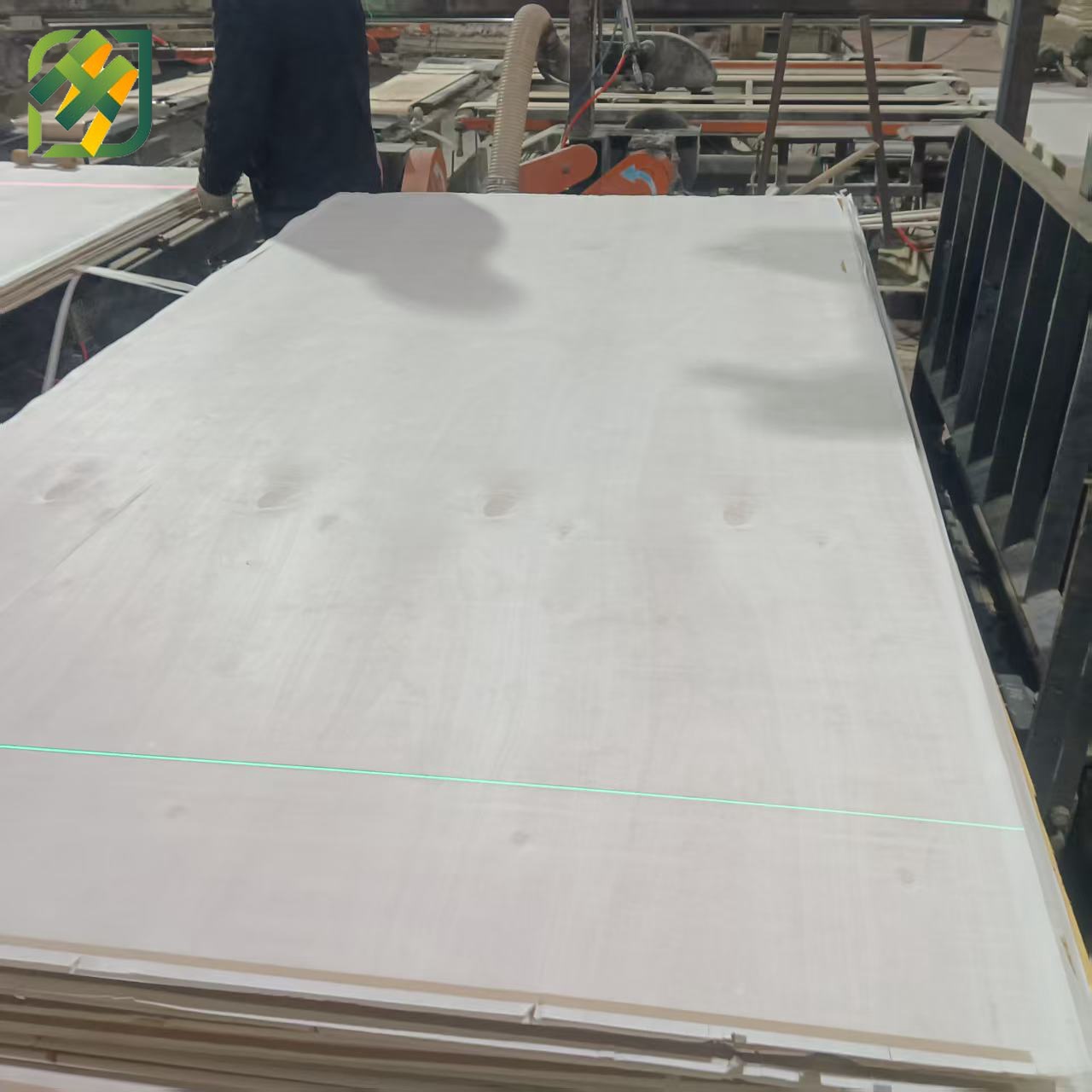 Commercial Plywood / Okoume Faced Plywood for Furniture