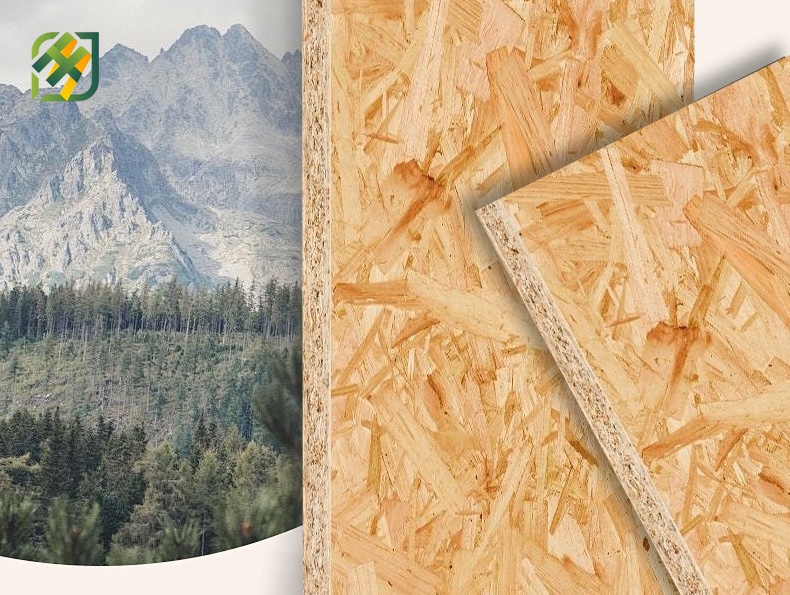 OSB Board for Furniture Frames and Interior Decoration