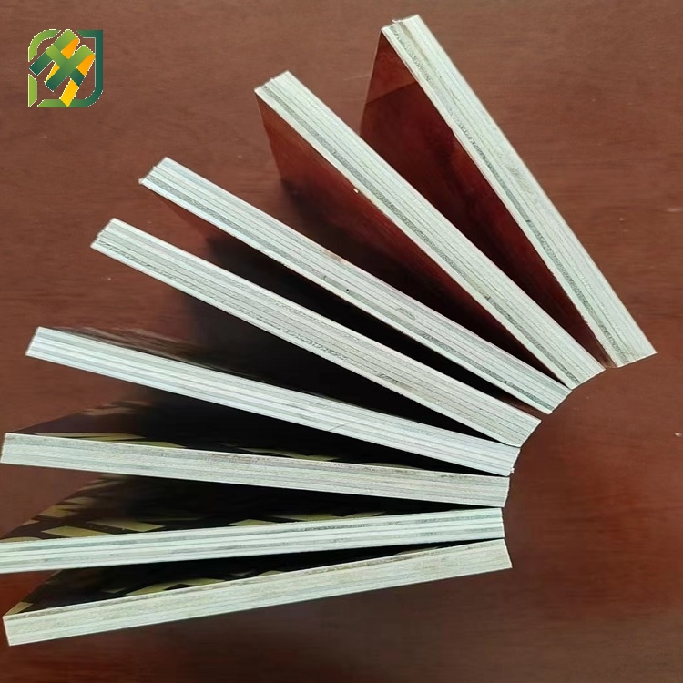 Poplar Plywood for Construction, Furniture and Packaging