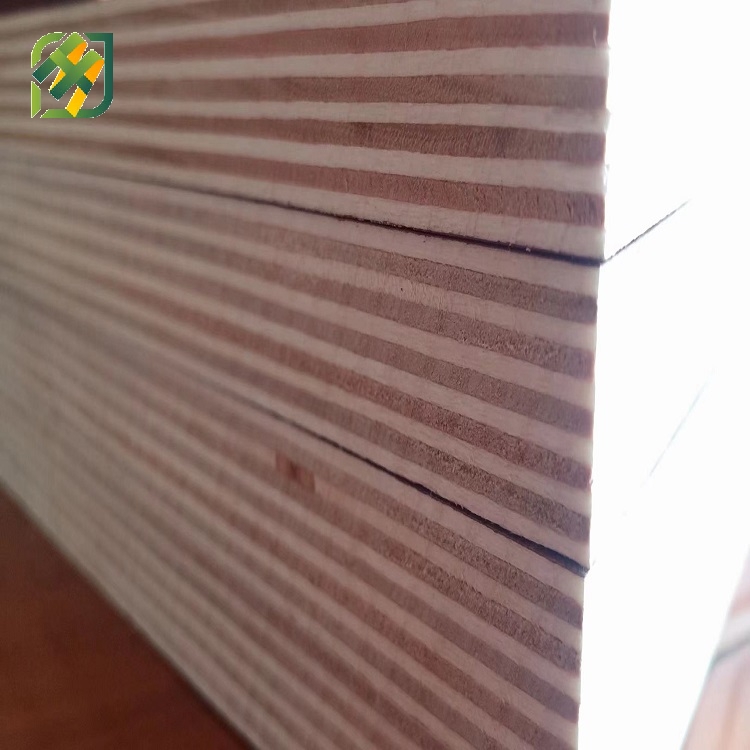 Poplar Plywood for Construction, Furniture and Packaging