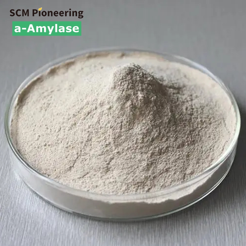Fungal a-amylase