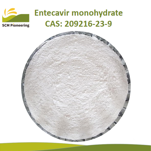 Entecavir monohydrate