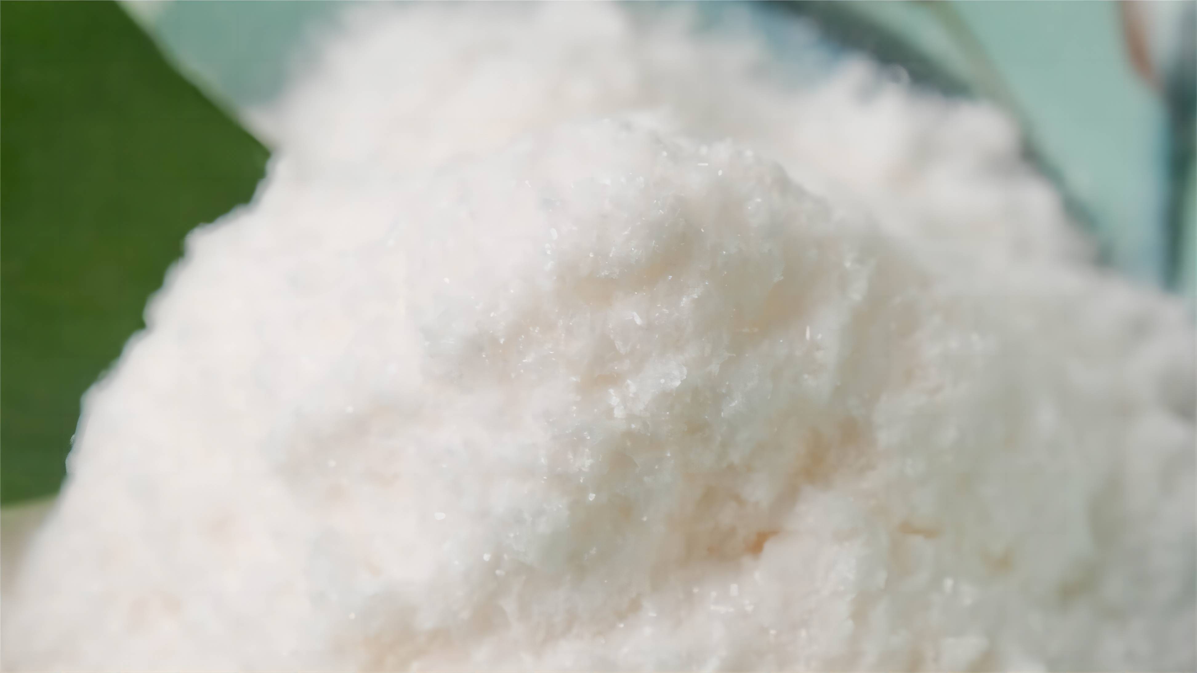 Expansion of Flavor Vanillin in 2024
