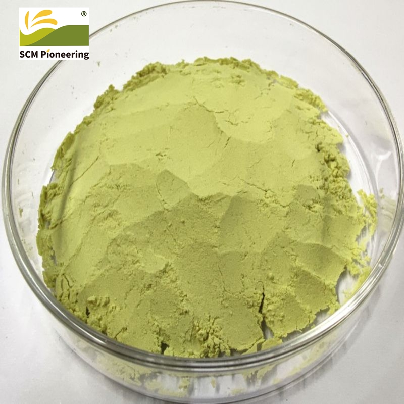 Pumpkin Seed Protein
