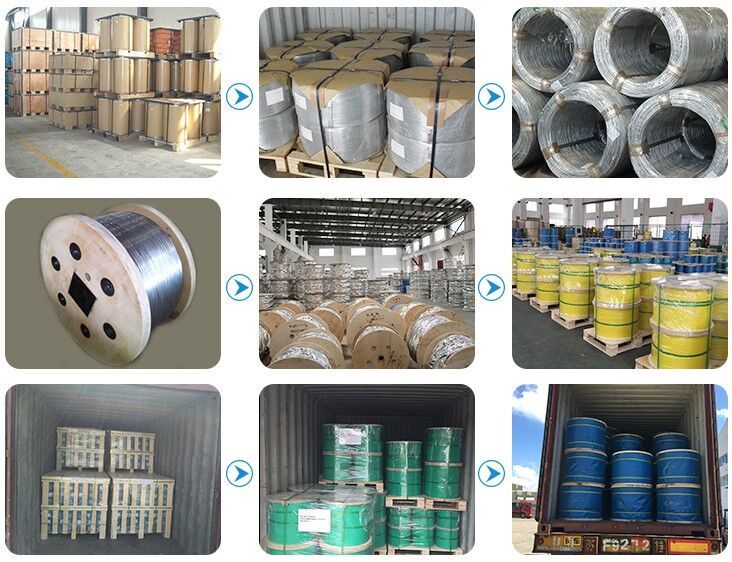 Stainless Steel Wire
