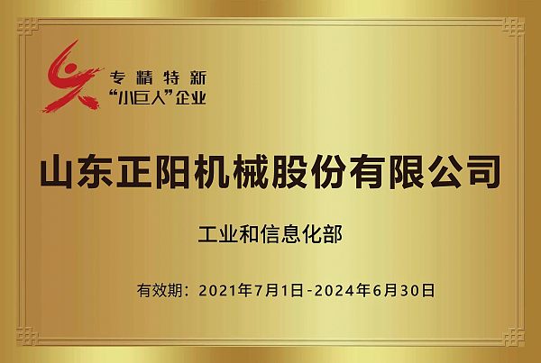 专精特新小巨人企业