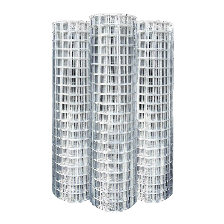Galvanized Iron Wire Mesh Wire Mesh Welded Wire Mesh Wire Mesh Mesh