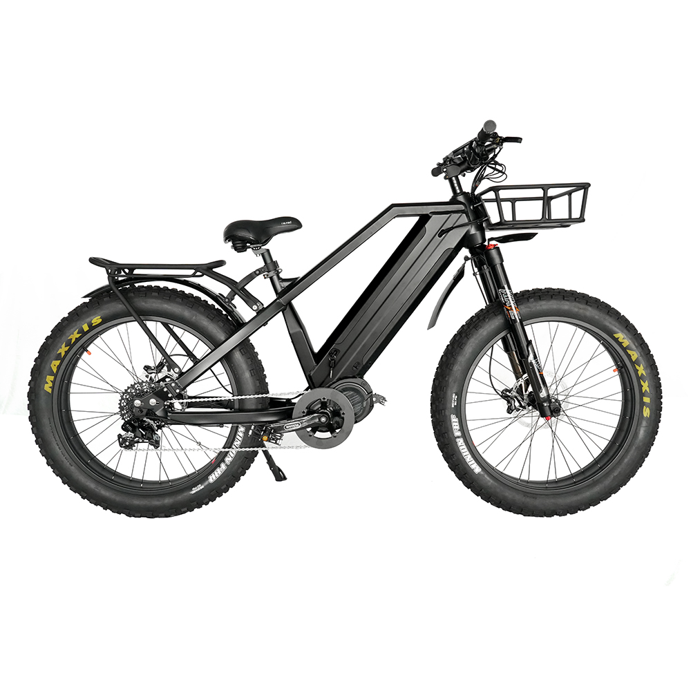 48V 1000W Bafang M620 Mid Motor Ebike With Dual Loong Batteries 48V15Ah*2pcs