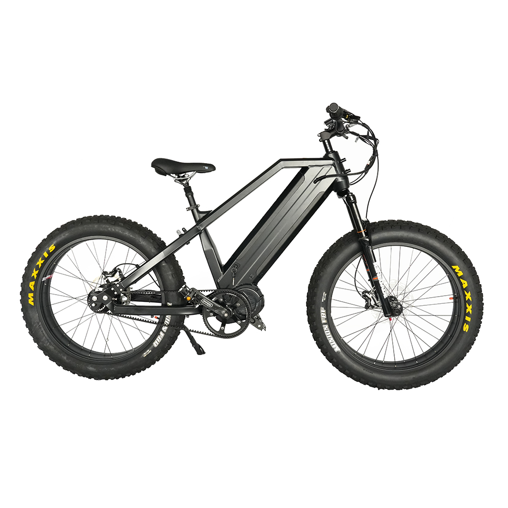 Dual Battery 48V 1000W Mid Drive Fat Tire Electric Bike with Rohloff IGH 14 Speeds Hub Dual Battery 48V 1000W Mid Drive Fat Tire Electric Bike with Rohloff IGH 14 Speeds Hub