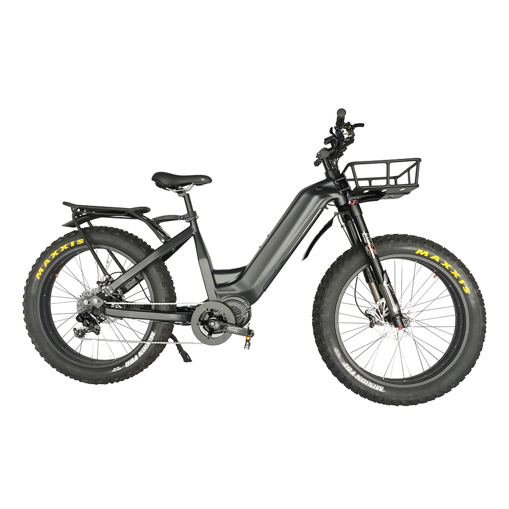 Step Through Ebike 48V 1000w Chain Drive Bafang M620 Mid Motor Fat Tire Electric Bike