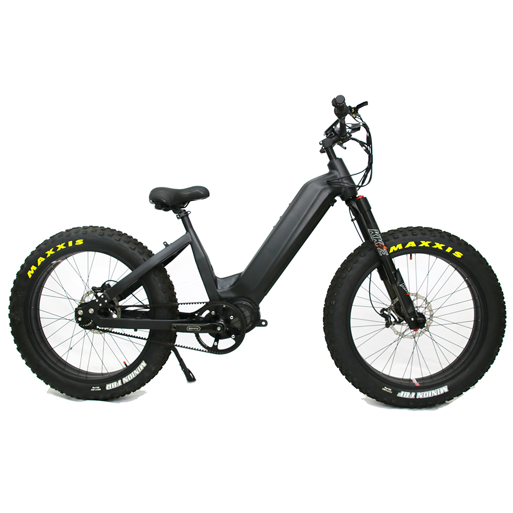 Rohloff 14 Speeds Hub Step Through 48V 1000W Electric Bike With 30Ah Inbuilt Battery All Terrain Electric Fat Tyre Bicycle Rohloff 14 Speeds Hub Step Through 48V 1000W Electric Bike With 30Ah Inbuilt Battery All Terrain Electric Fat Tyre Bicycle