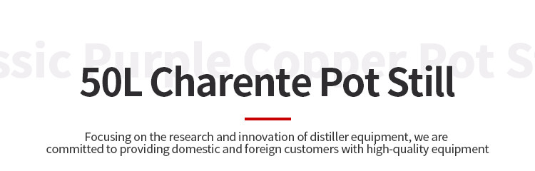 50L Charente (1).jpg 50L Multi-spirits tequila distiller