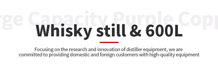 600L column whiskey distiller