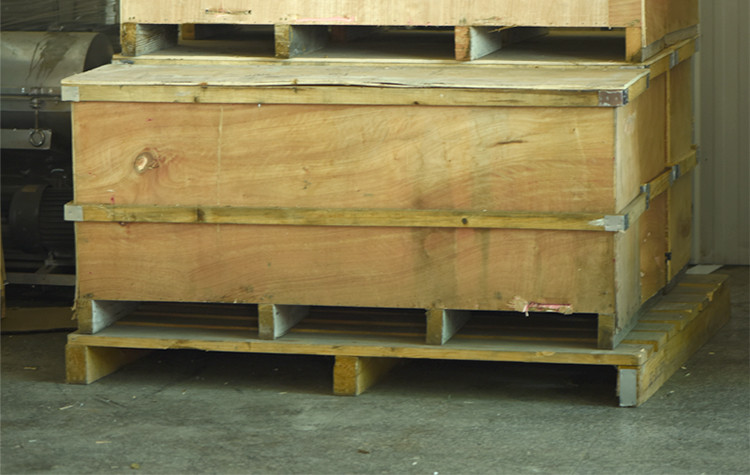 screw pump