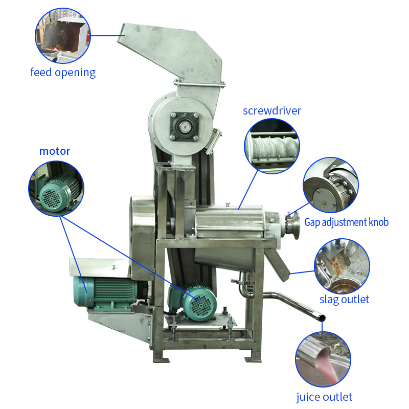 Spiral juicer