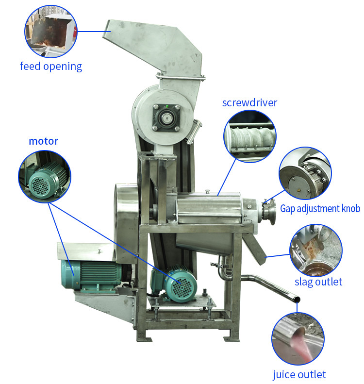 Spiral juicer