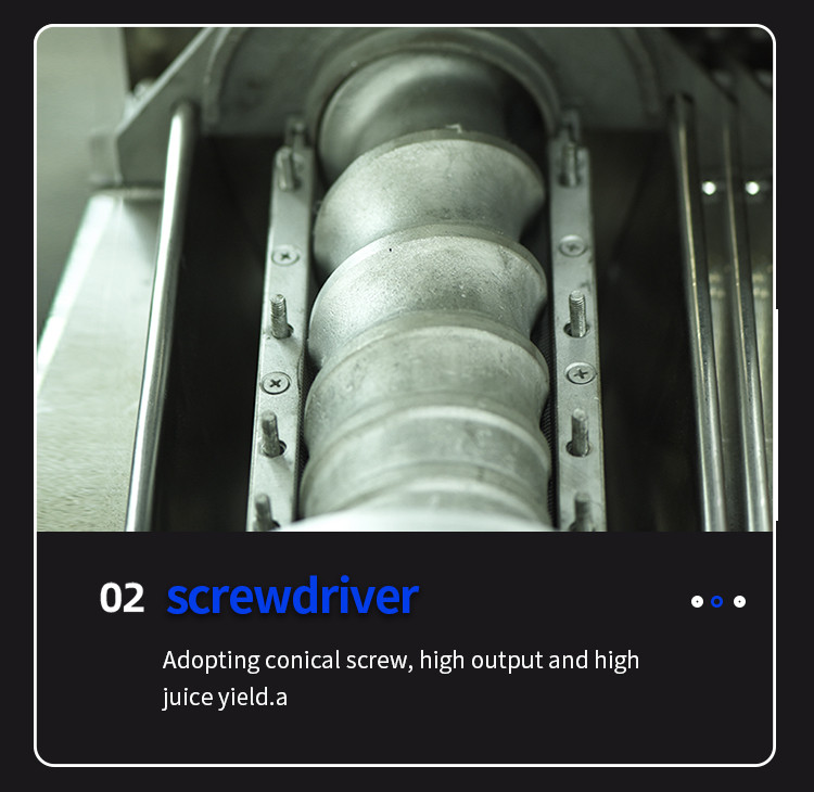 Spiral juicer