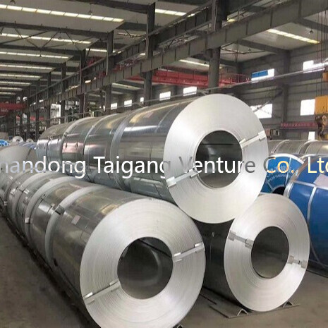 Supplier Galvanized Coil