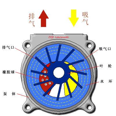 Principle of Liquid ring vacuum pump operation