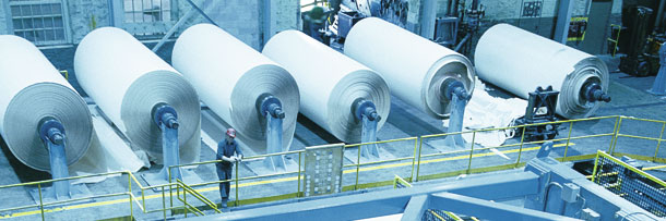 Pulp And Paper